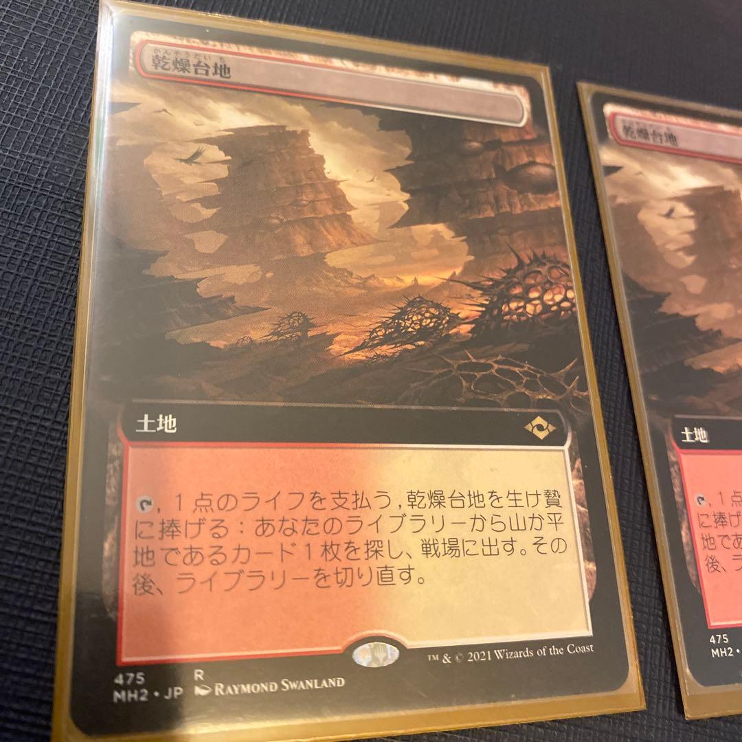 マジック：ザ・ギャザリング 乾燥台地 拡張版　R 2枚セット