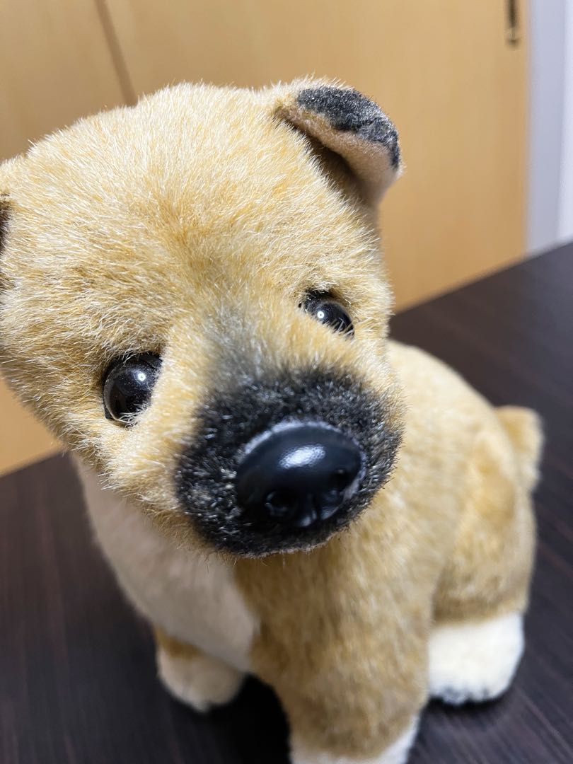 四季オリジナル 柴犬 ぬいぐるみ リアル 昭和レトロ 当時物