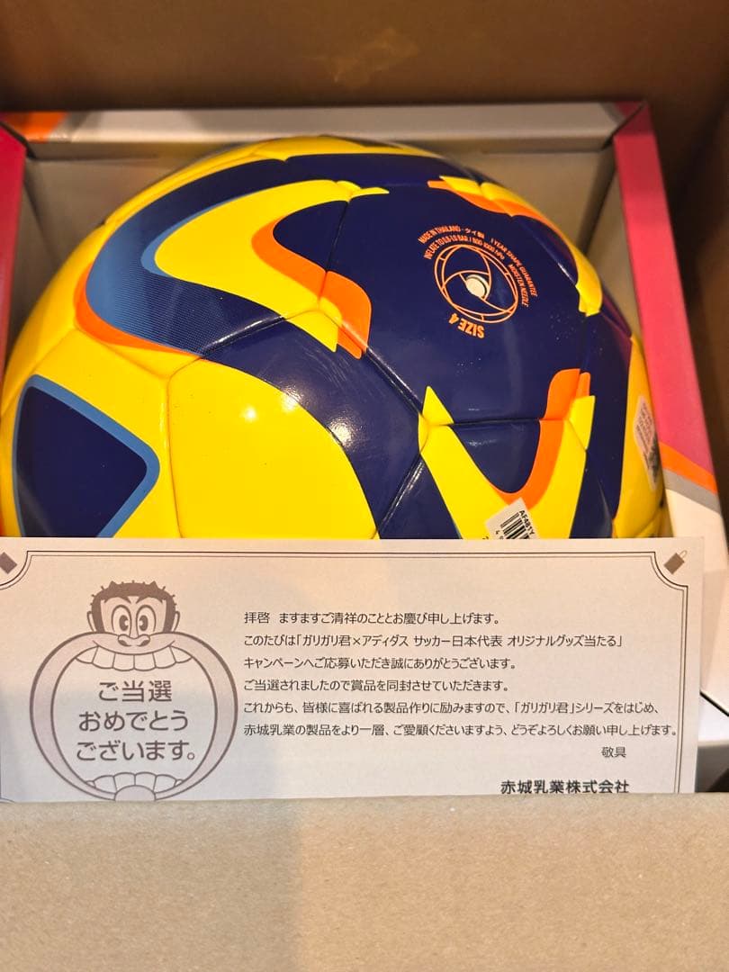 C*a様 【早い者勝ち！】ガリガリ君　アディダス サッカーボール 検定球　4号球