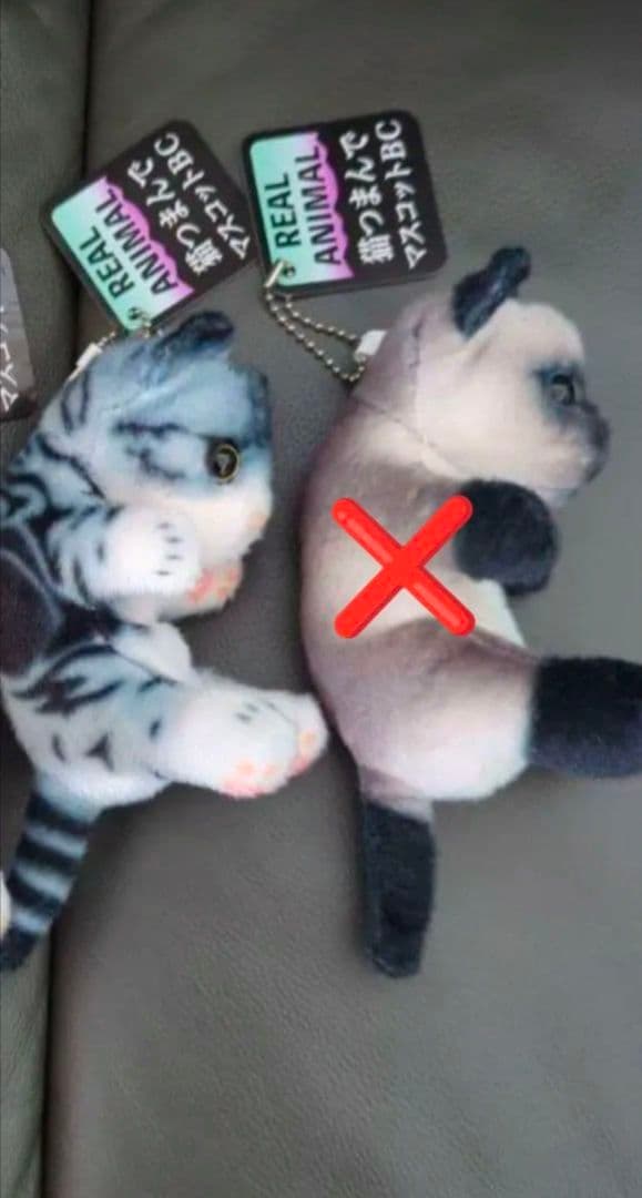 リアル猫 リアルアニマル猫つまんでマスコットBC 猫ぬいぐるみ　２個　セット