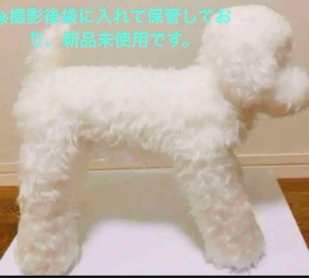 ニニアンドキノ　トイプードル　ぬいぐるみ　ホワイト