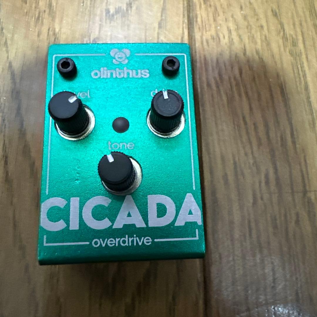 olinthus CICADA オーバードライブペダル