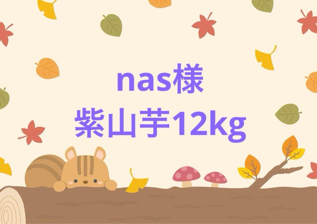 紫山芋　12kg