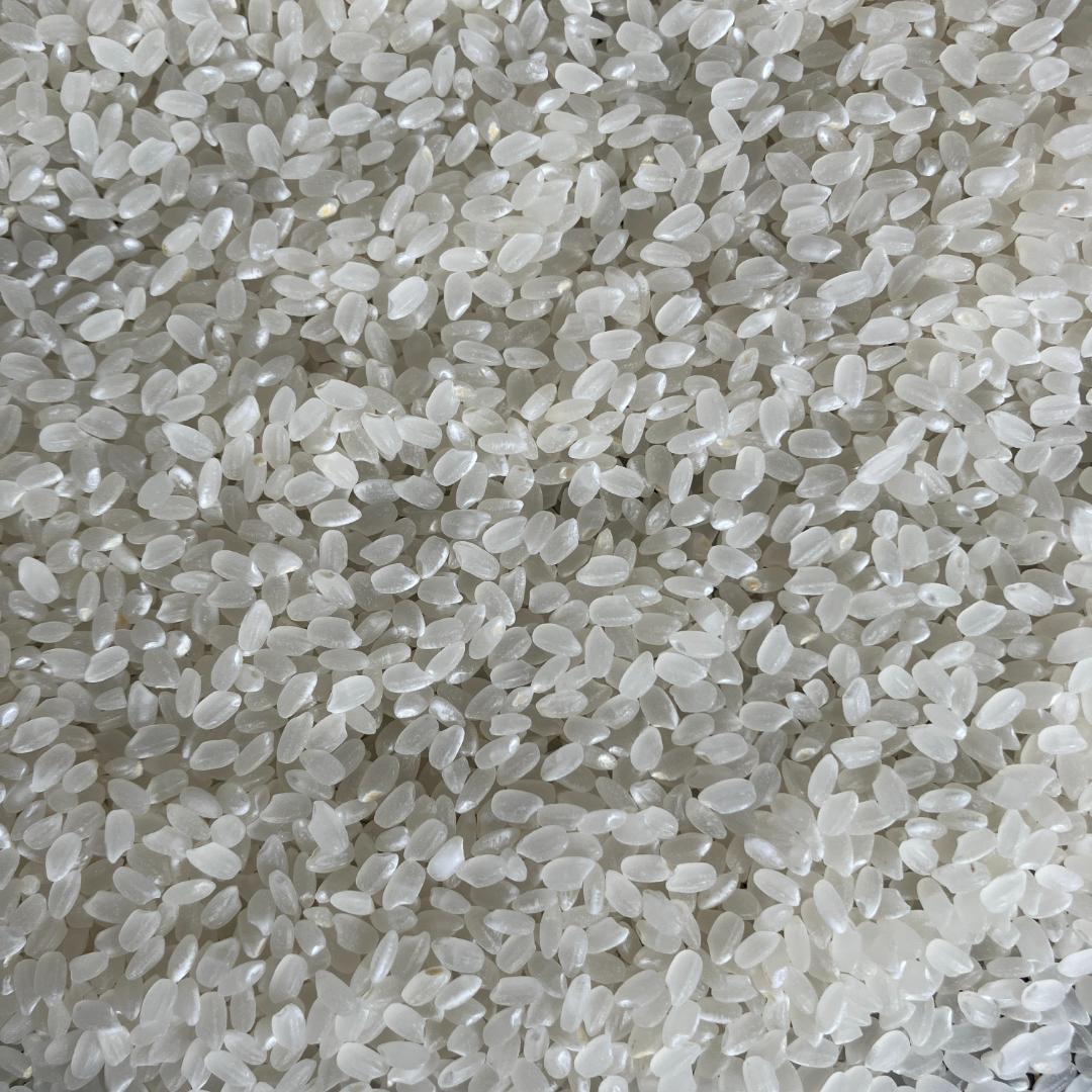 魚沼産コシヒカリ　令和7年産　白米　10キロ　米農家直送　送料無料