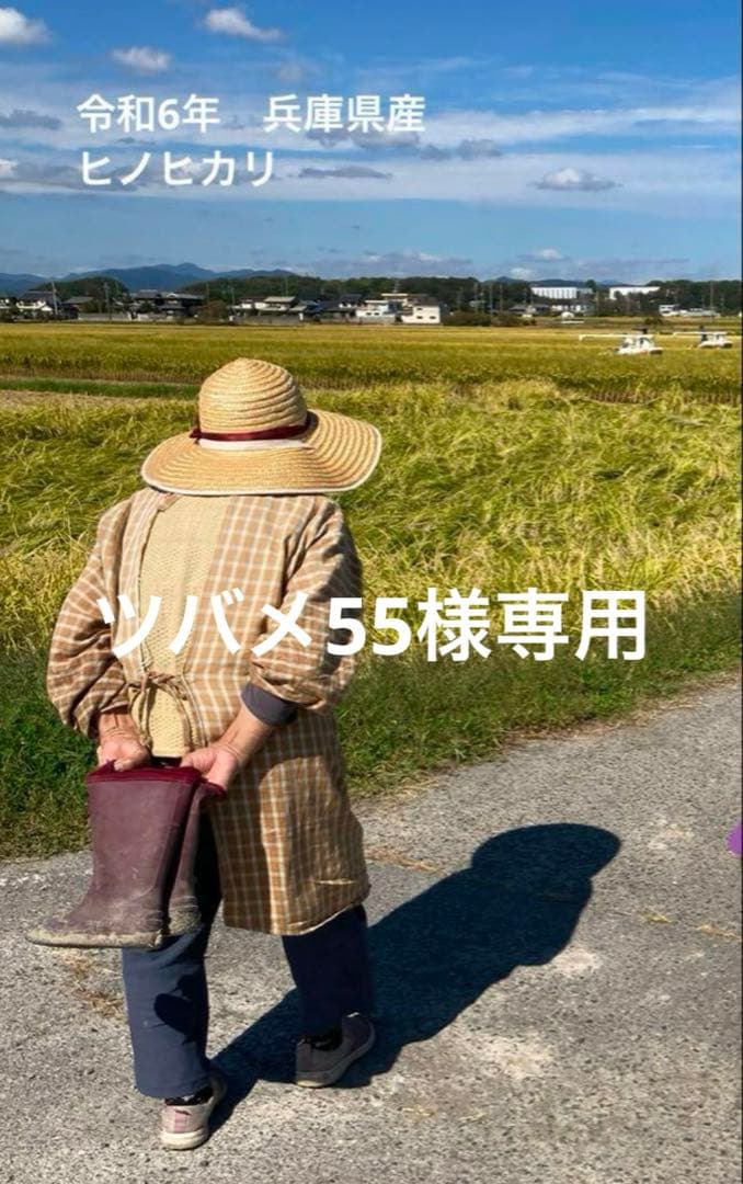 ツバメ55