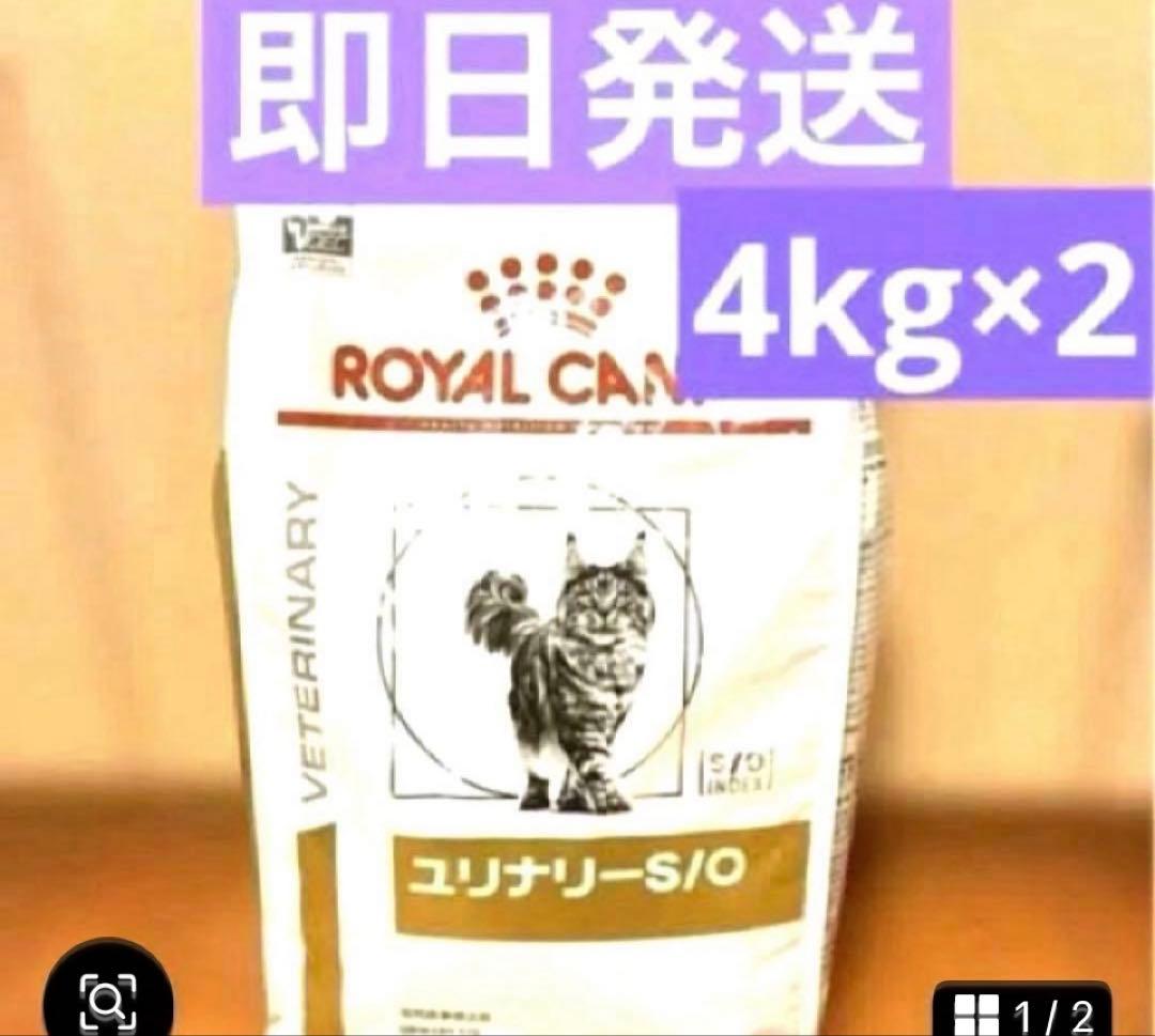 ロイヤルカナン ユリナリー-S/O 4kg×2