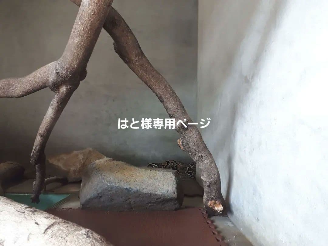 はとページ