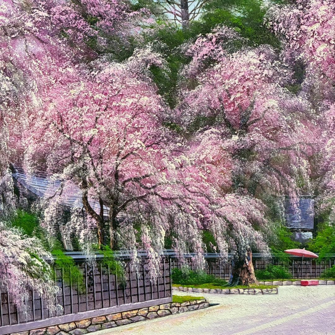 美品 寺井孝「角館の桜」キャンバスに油彩 10号 彩波会 二科展 枝垂れ桜 名品