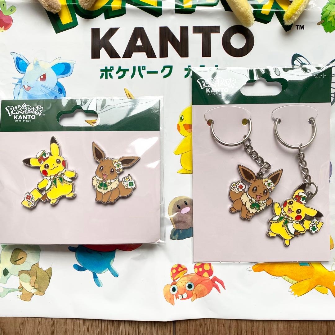 ポケパーク カントー カーニバル衣装 ピカチュウ ・ イーブイ グッズ セット