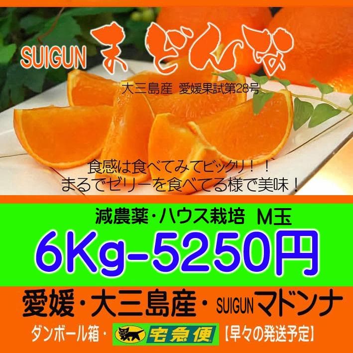 【ケロ】Mマドンナ6Kg+小玉石地6Kg　　【２箱縛りでの発送】