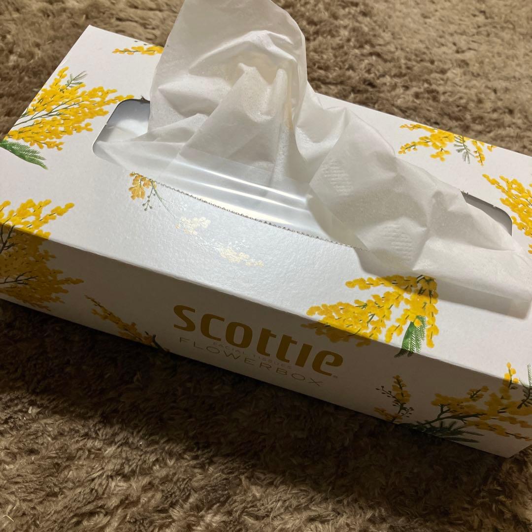 スコッティ