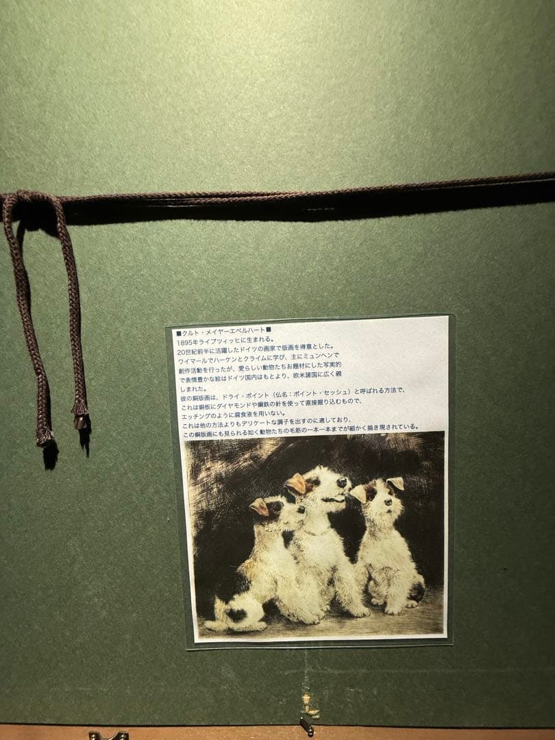 他の方発送× Meyer-Eberhardt
