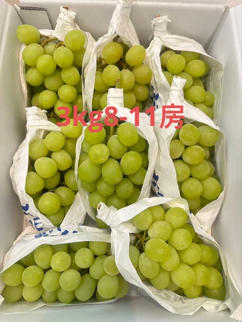 高級葡萄3kg冷蔵発送山梨直送朝採りシャインマスカット8-11房