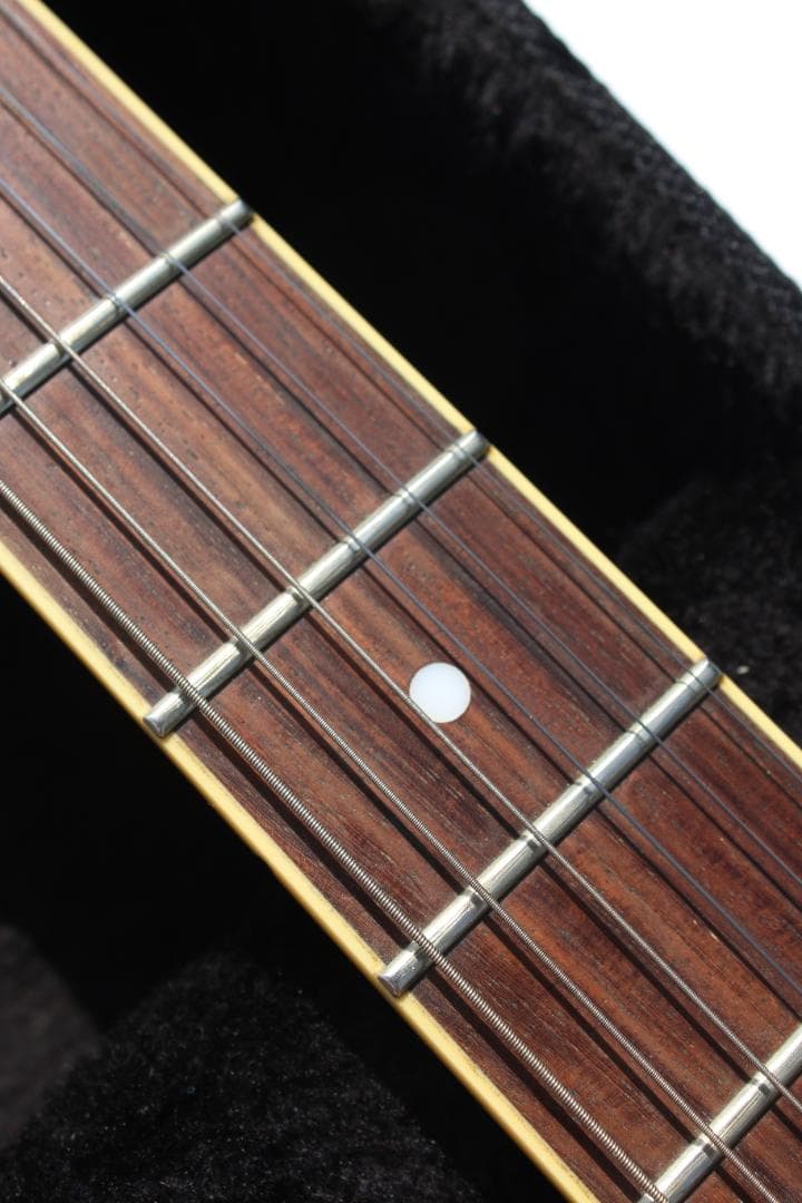ギター Duesenberg Starplayer TV