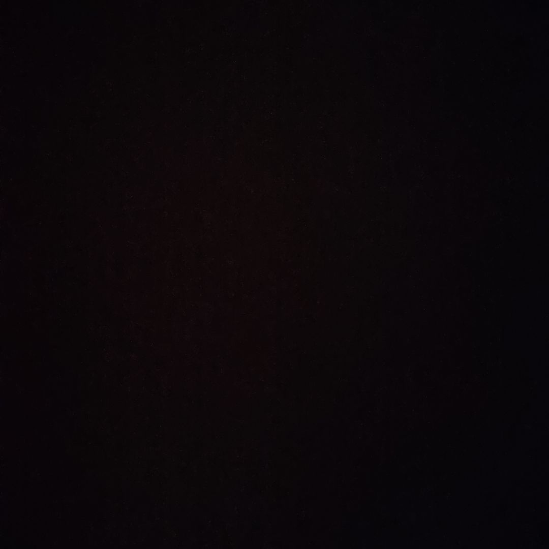 しろくま