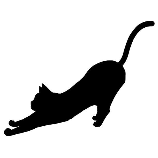 いっち
