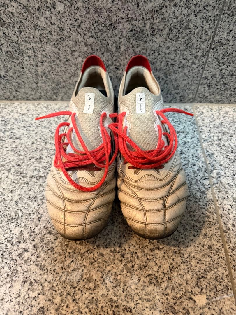 MORELIAネオ4β