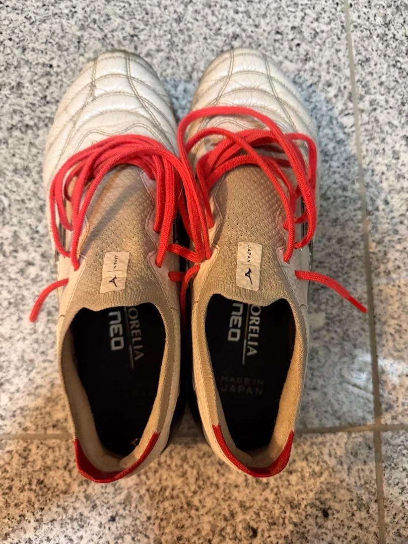 MORELIAネオ4β