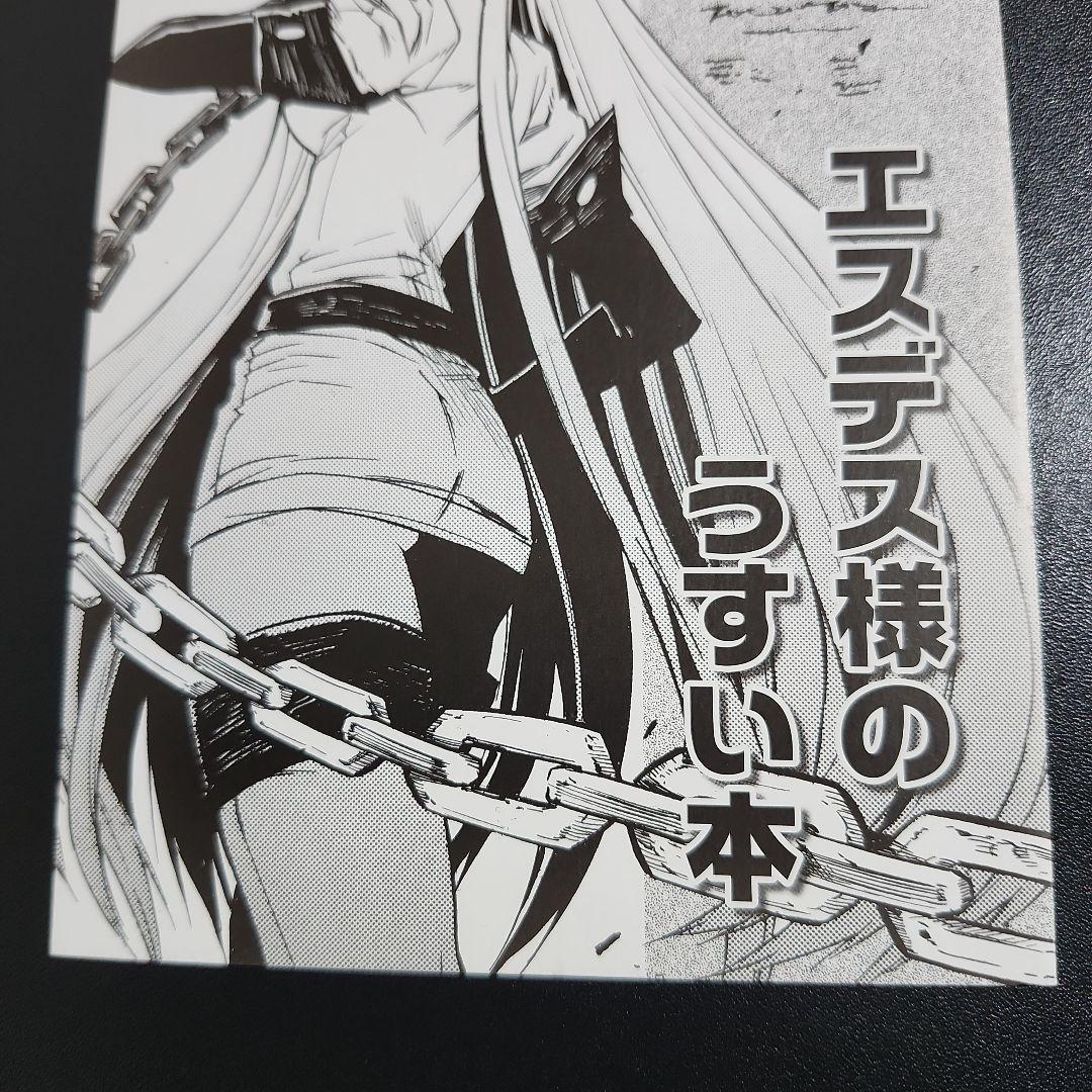 アカメが斬る! 4巻特典 エスデス様のうすい本