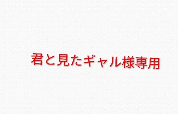 君と見たギャル 商品