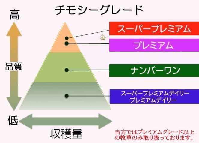 【11/30まで】US産 チモシー 50kg ２番刈り ソフトSプレミアム