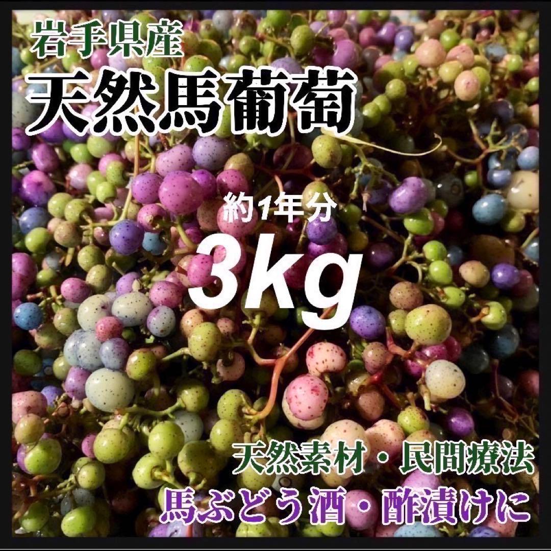 【在庫わずか】馬ぶどう250g×12袋　1年分3kg うまぶどう　薬膳　民間療法