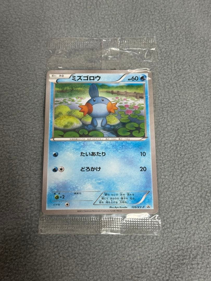 【未開封】ポケモンカード　ミズゴロウ　プロモ 109/XY-P