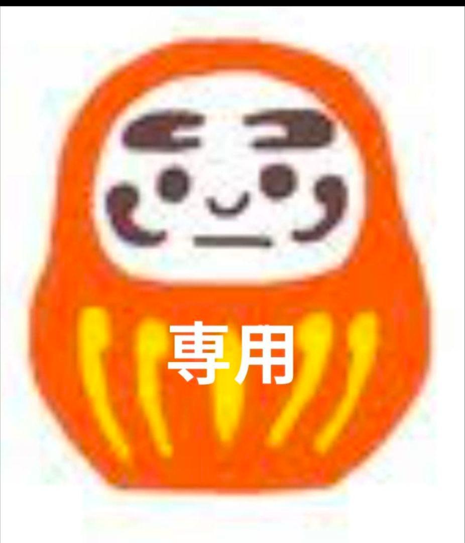 専用のお品物となります　紅マドンナ他