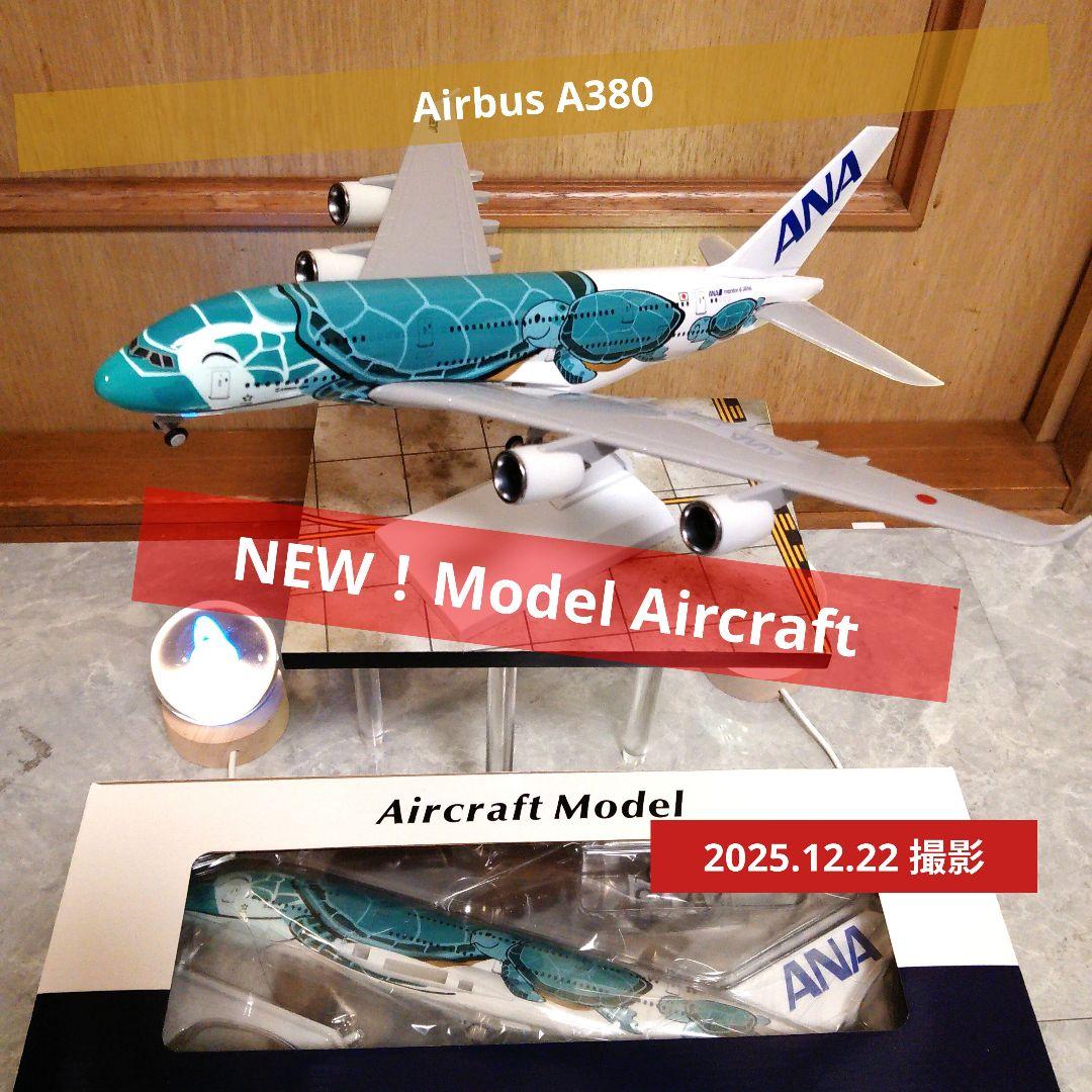 新型フライングホヌ／グリーン カイ君 約30cm