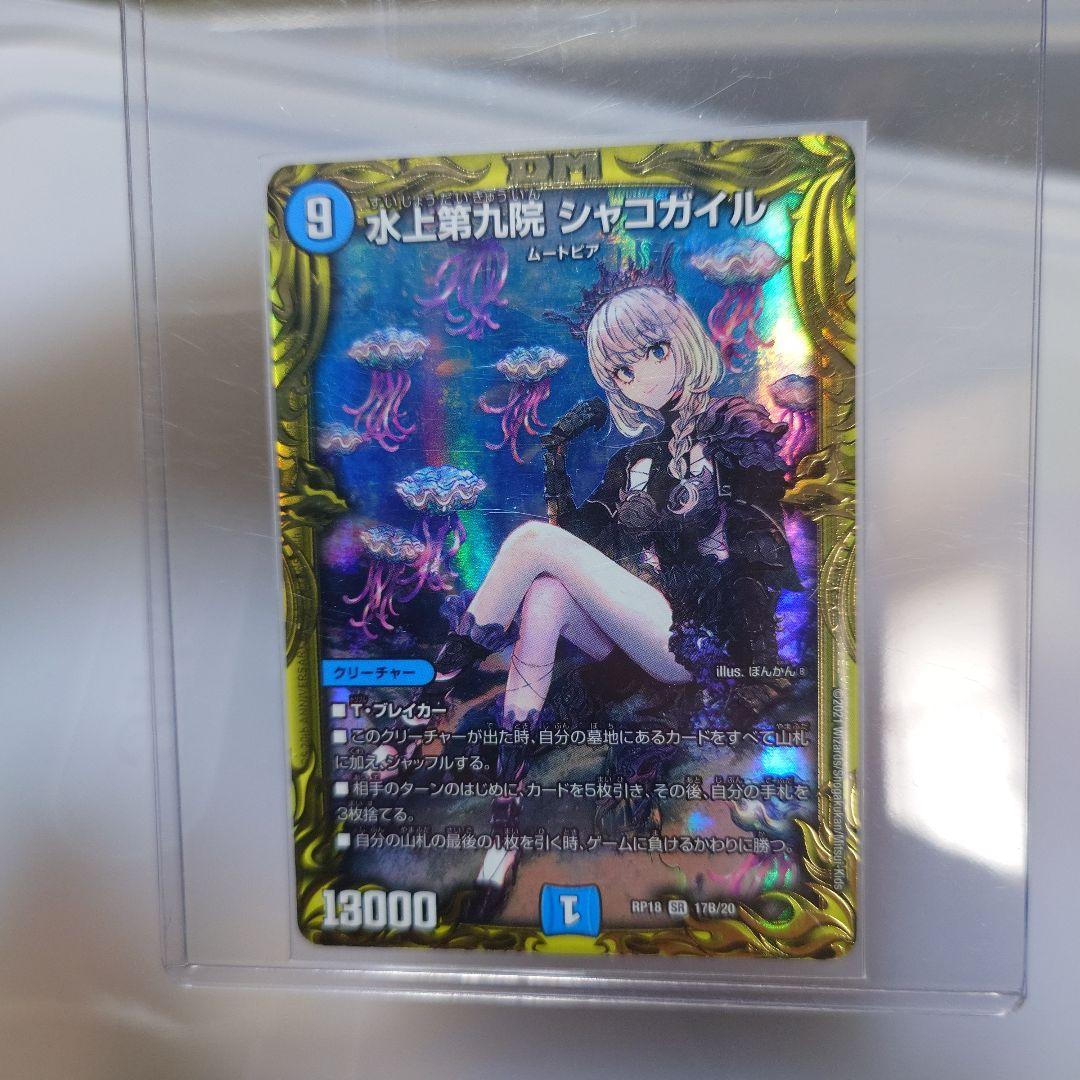 シャコガイル