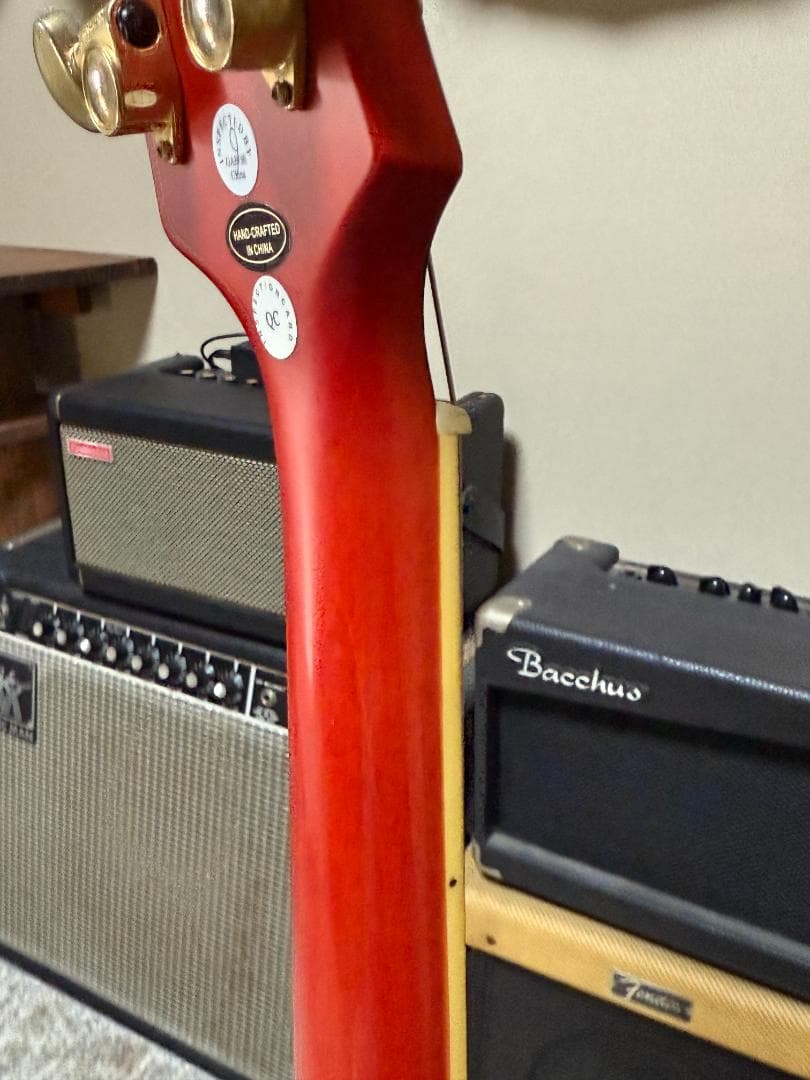 Epiphone Les Paul Ultra セイモア・ダンカン MOD