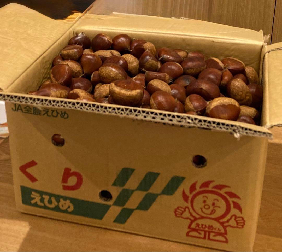 幻の栗⭐︎中山栗2L~4L混合10kgクール便（匿名不可）農家直送2025-013