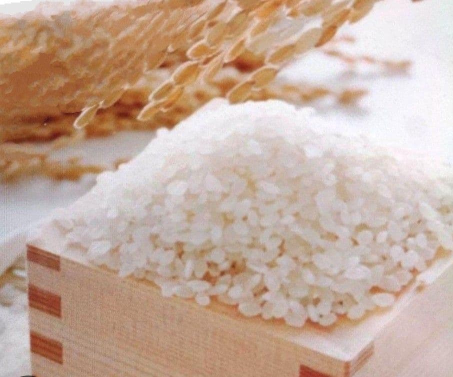 早い者勝ち 令和7年産 大量 15kg 白米 熊本県 無洗米 5袋 セット 限定