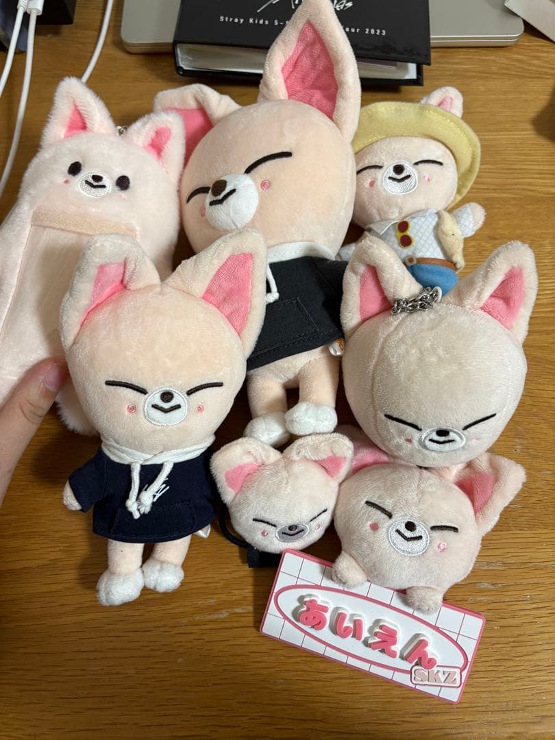 アイエンぬい