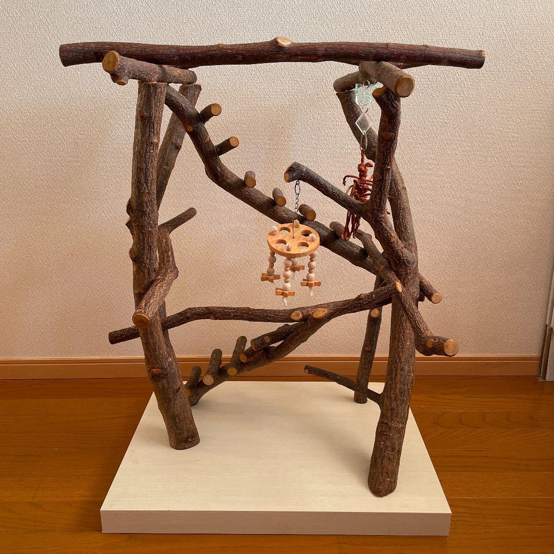 鳥さん用のアスレチックジム