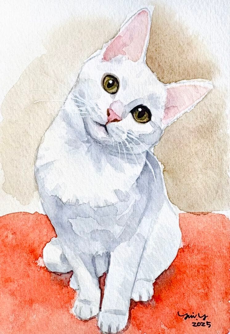 猫の絵 377 水彩画 原画 白猫 ポストカードサイズ