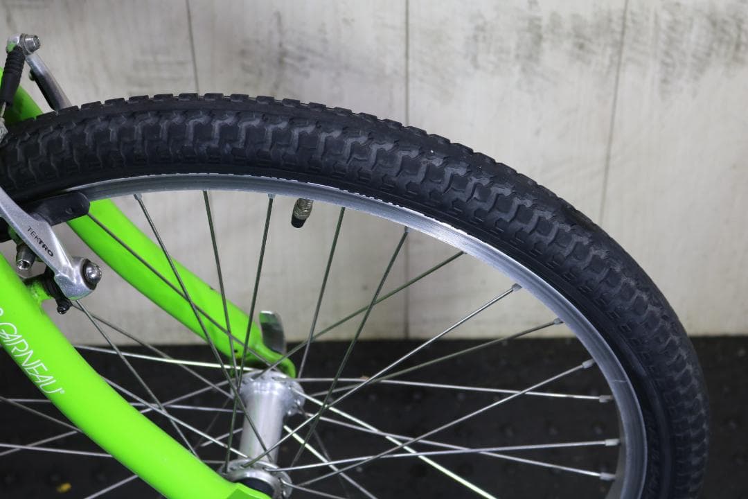ルイガノ LGS-J22 22型 アルミ シマノ18速 本格子供用MTB 緑