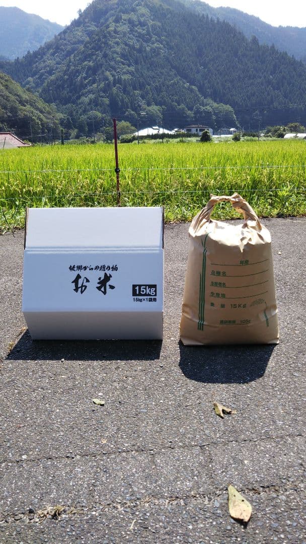 令和6年広島県産あきろまんです。