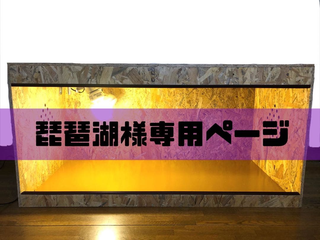 琵琶湖さん様