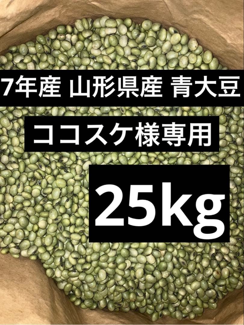 ココスケ