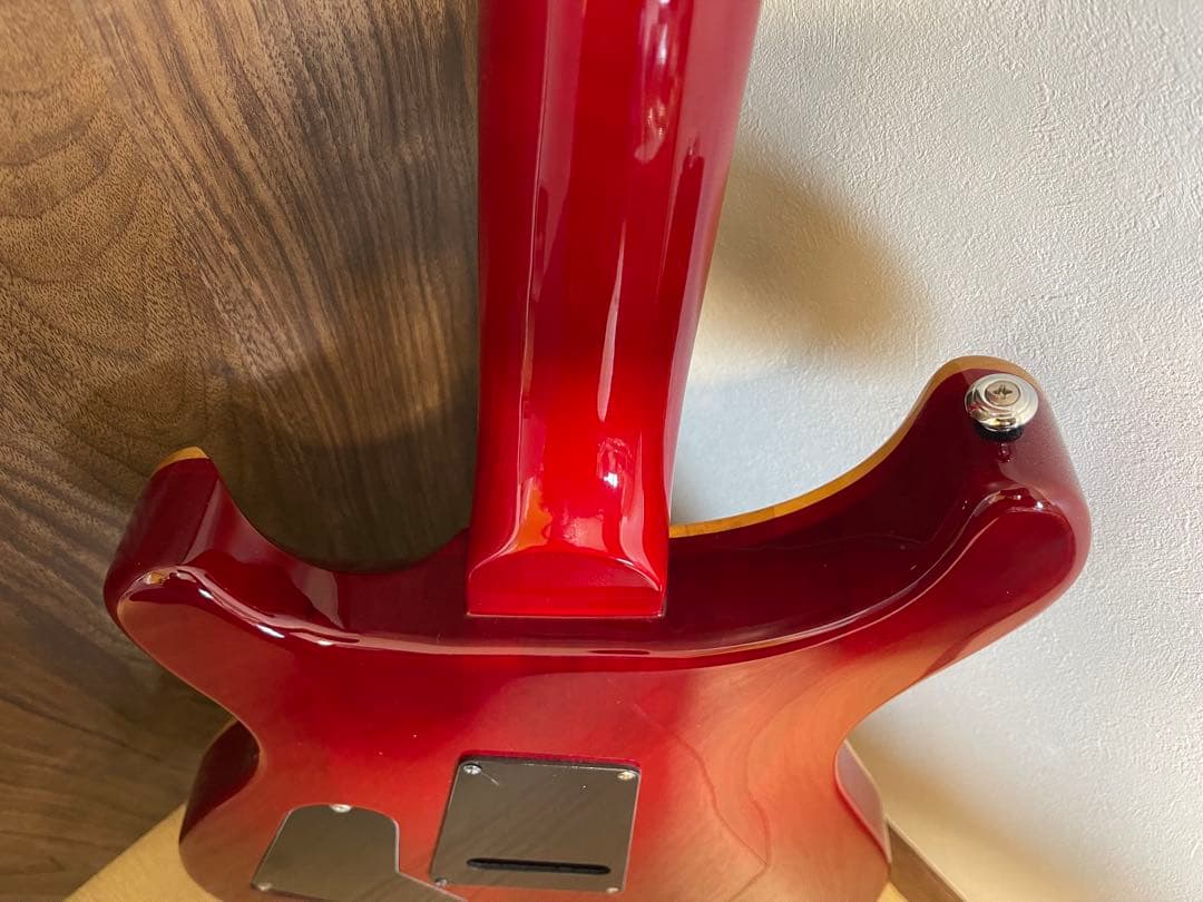 PRS(Paul Reed Smith) ポールリードスミス SE エレキギター
