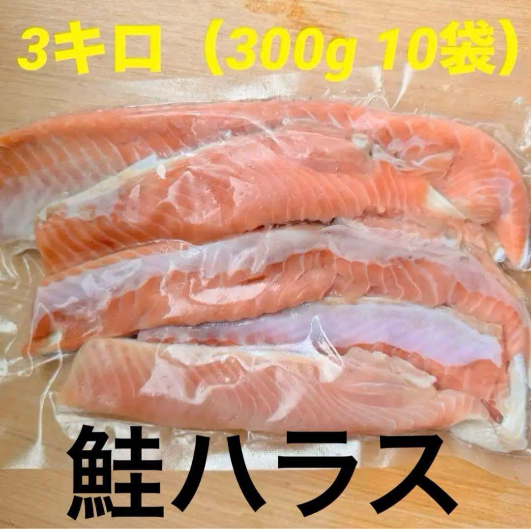 water　鮭ハラス　3キロ✖️3箱