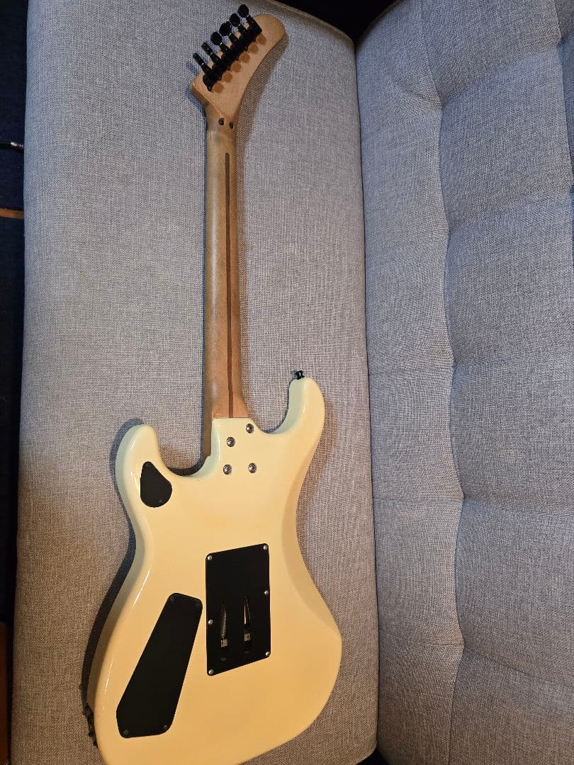 ESP カスタムオーダー エレキギター