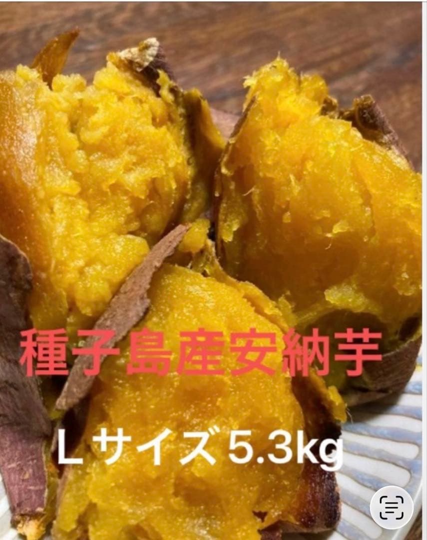 野菜 yk