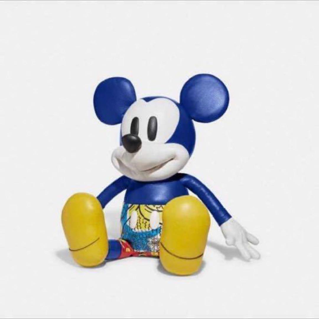 コラボ　MICKEY MOUSE × Keith Haring ×coach