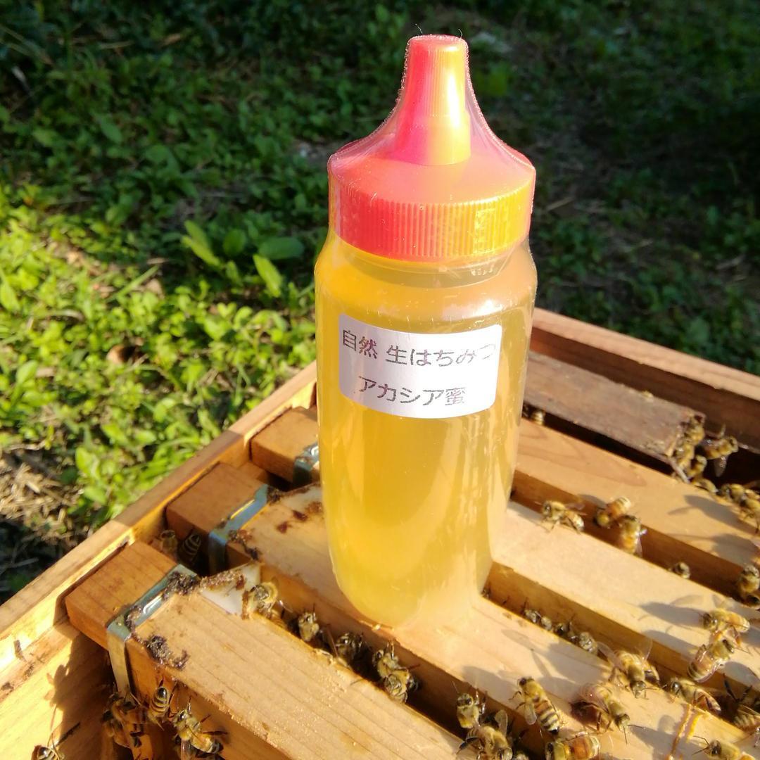 ✡️アカシア蜂蜜５本&レンゲ蜂蜜蜜５本　生はちみつ　非加熱ハチミツ