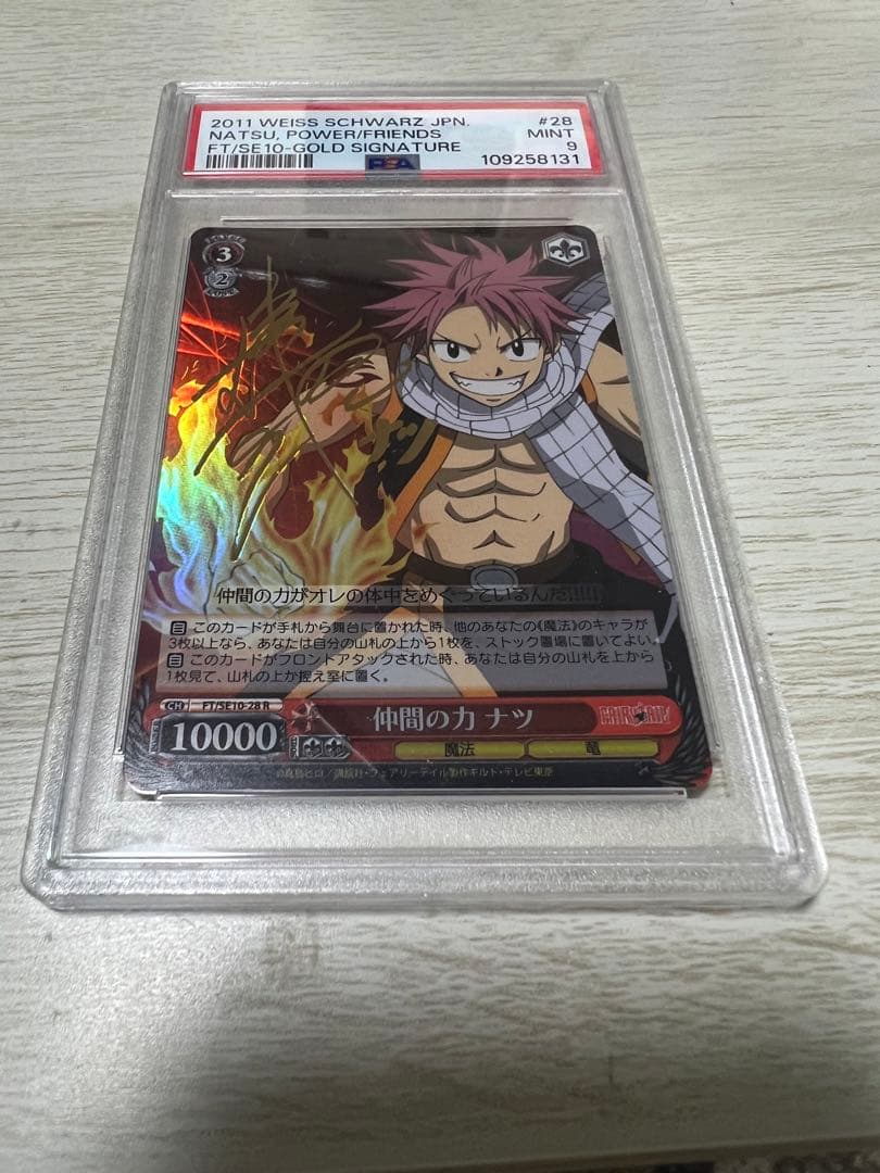 仲間の力　ナツ　psa9