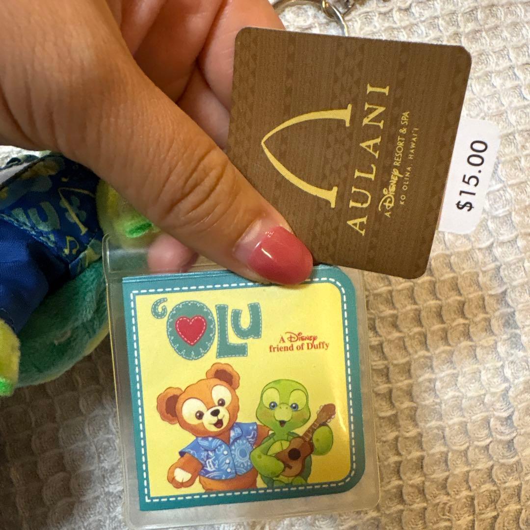 香港ディズニーウッディダッフィ　ハワイアウラニ　オル　キーホルダー　セット