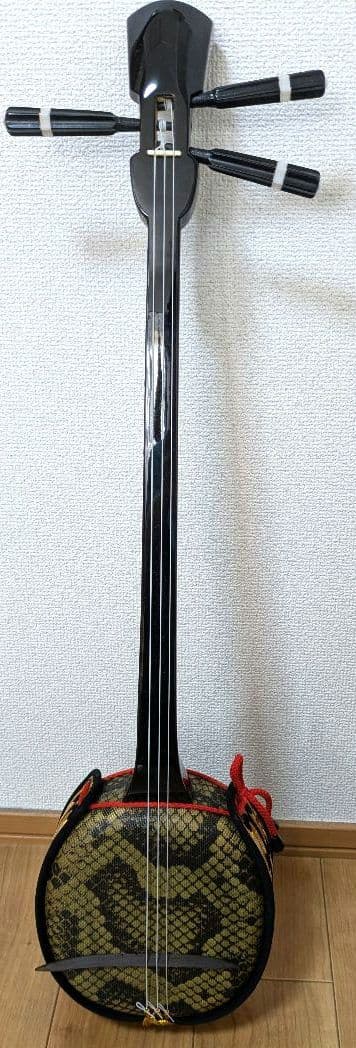 【送料無料】沖縄三線 ヘビ柄 3弦 ケース、付属品、テキスト2冊付き