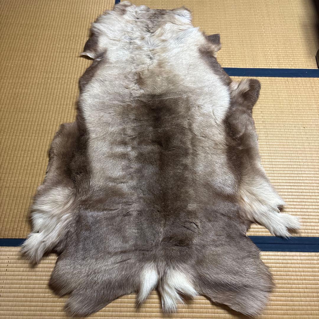 トナカイ毛皮　高級毛皮ラグ LARGE